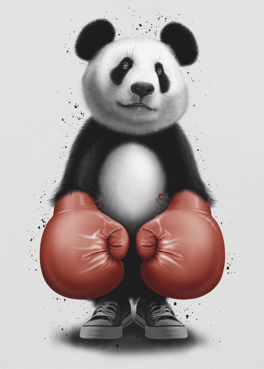 PANDA BOXER | Canvas