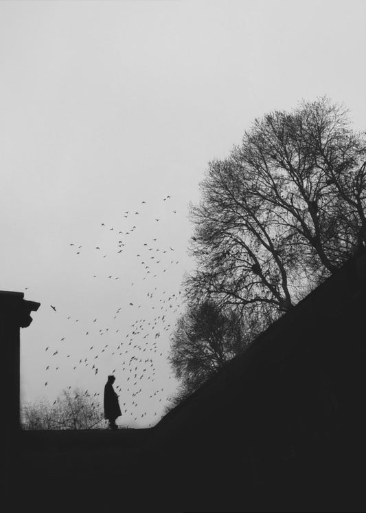 Errie | Stampe su Tela