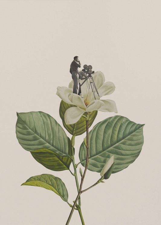Botanisk vintage kameramann | Lerretsbilder
