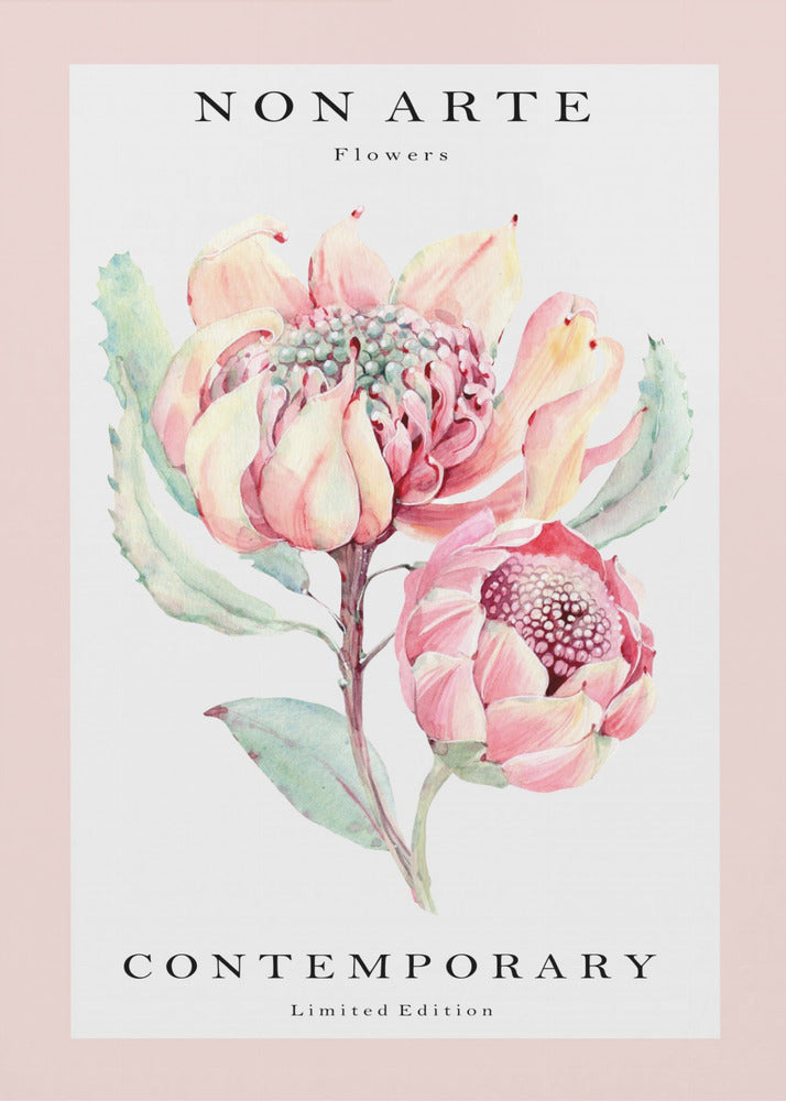No Arte rosa flor | Impresiones en Lienzo