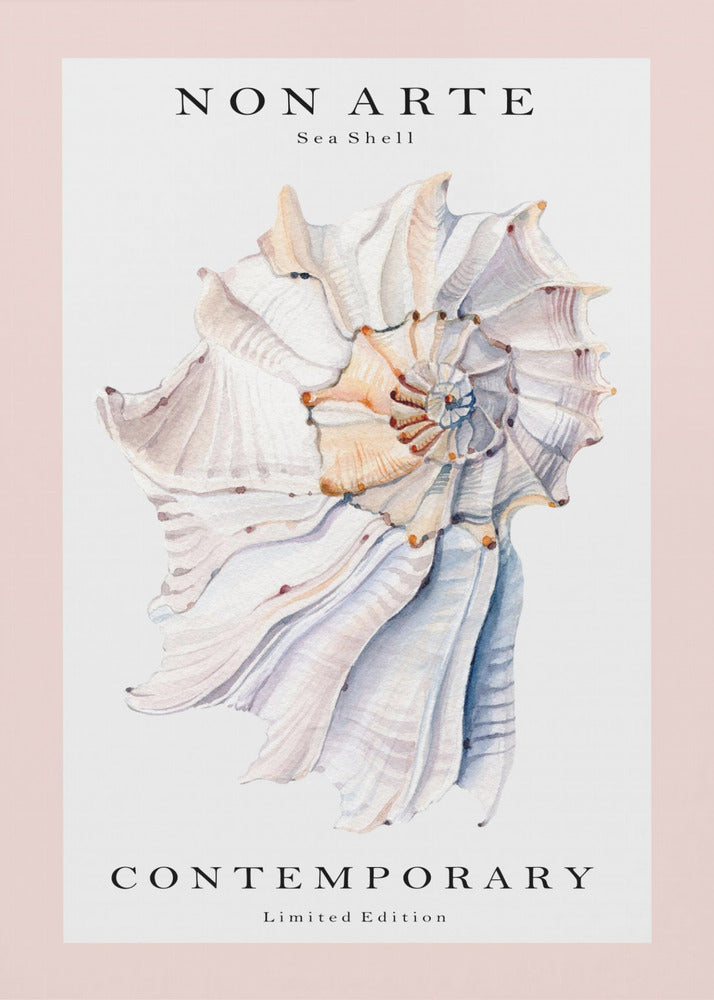 Coquillage Non Arte n°1 | Tableaux sur Toile