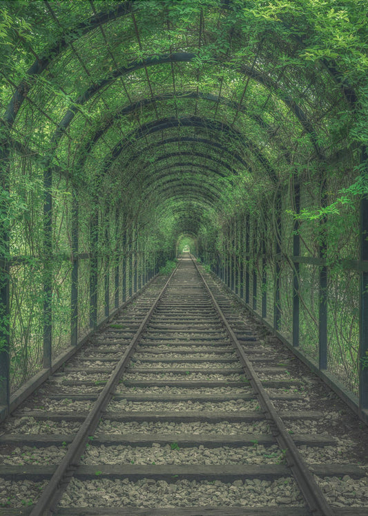 Vihreä tunneli | Canvastaulut