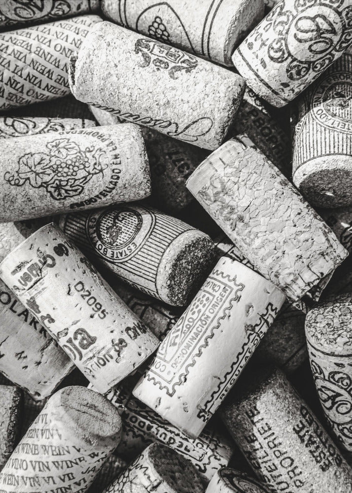 Vino 001 Bw | Impresiones en Lienzo