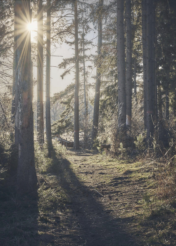 Dsf2913 Hdr 1 | Lerretsbilder
