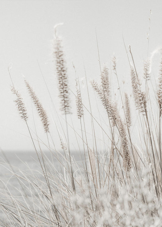 Grass | Poster