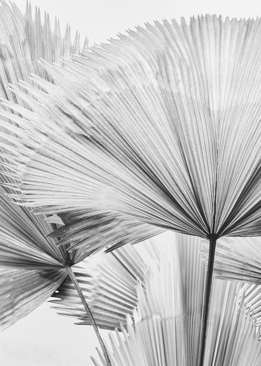 Leaf II | Poster