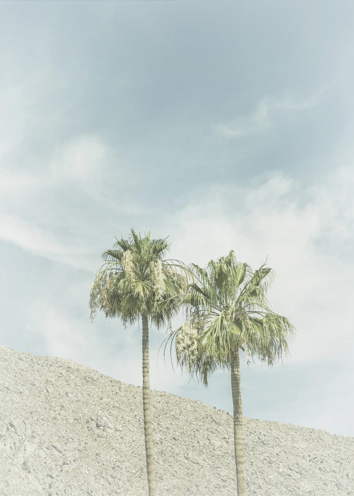 Palmeras vintage en el desierto | Impresiones en Lienzo