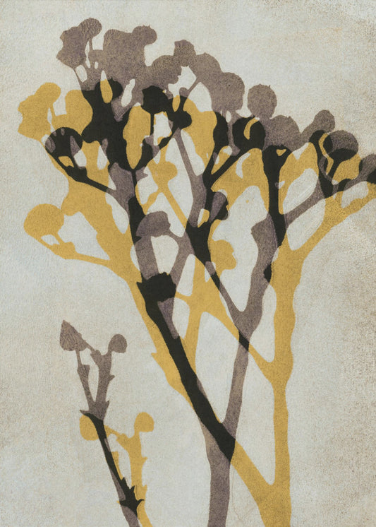 Echoes of Gypsophila | Poster