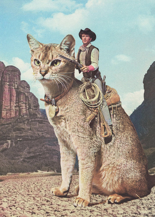 Katt Lone Ranger | Canvas