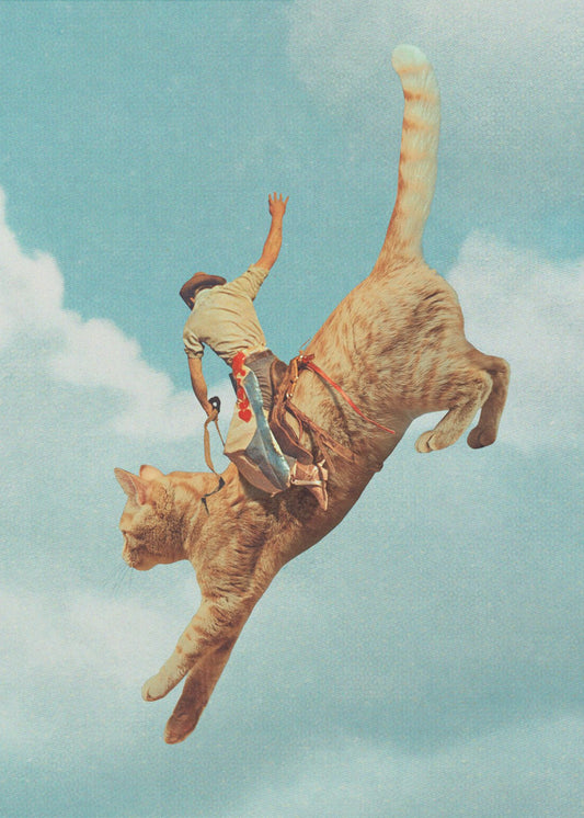 Meehaw Rodio-katt | Canvas