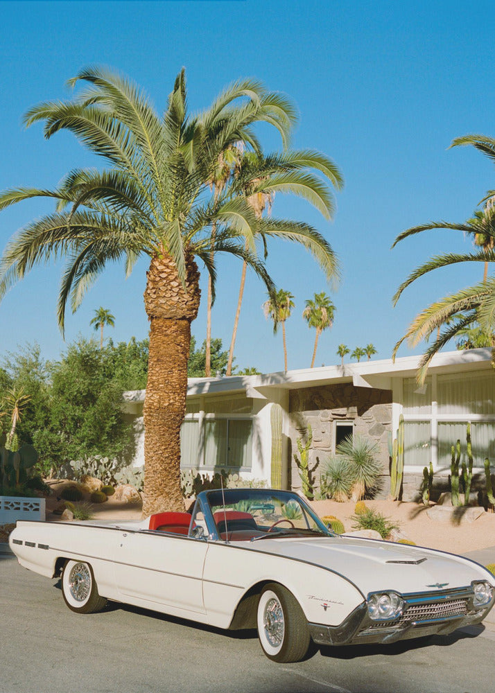 Palm Springs Thunderbird | Leinwand-Bilder