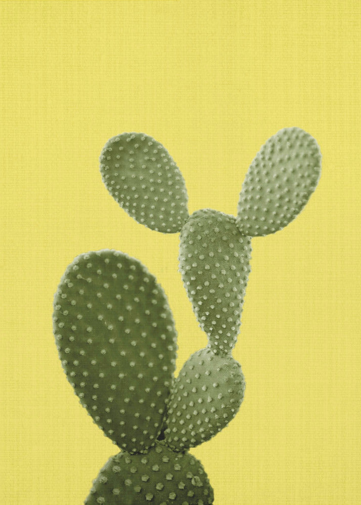 Cactus jaune | Tableaux sur Toile