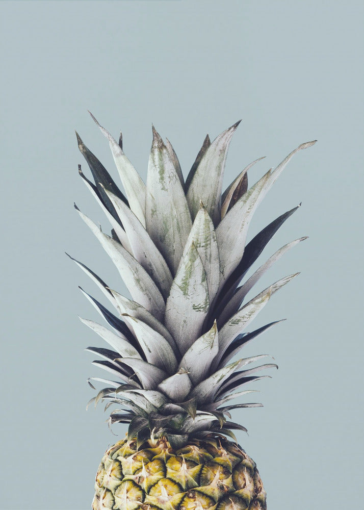 Pineapple 1 | Poster