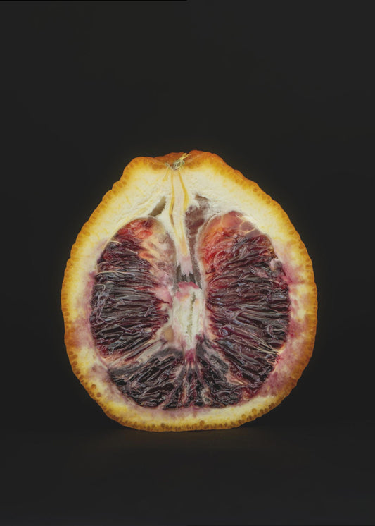 Crimson Slice | Poster