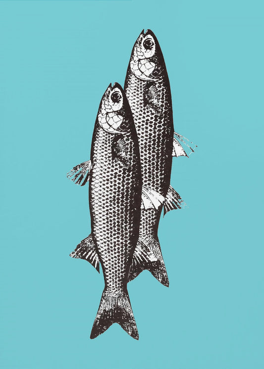 Sardine | Stampe su Tela
