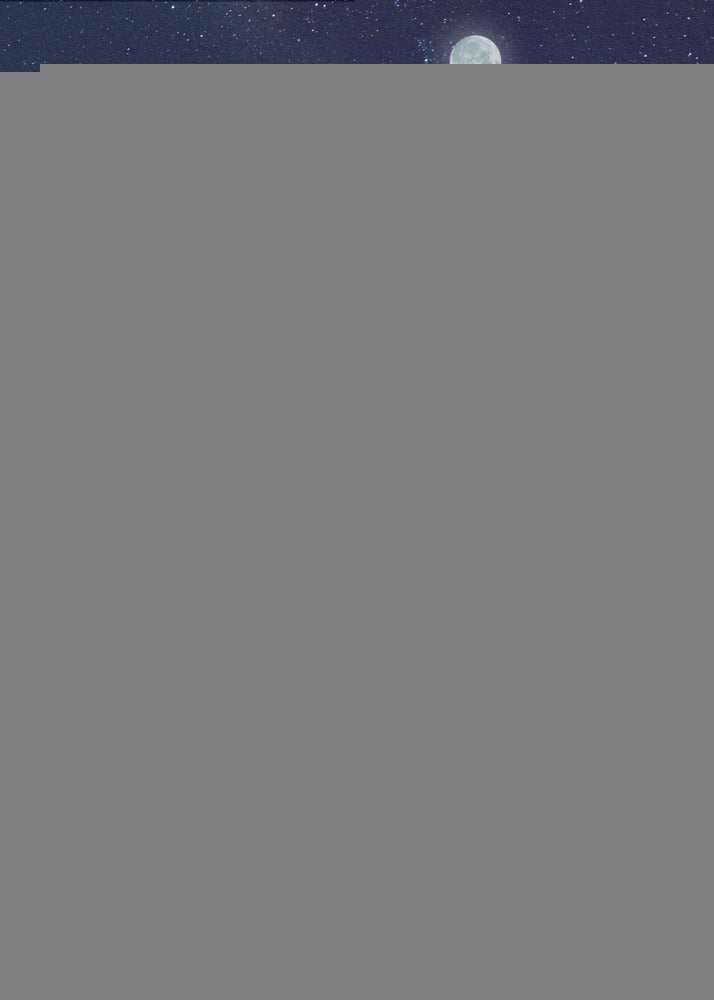 Full Moon | Canvas