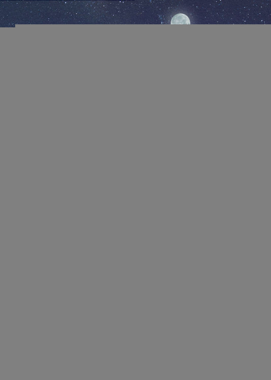 Full Moon | Canvas