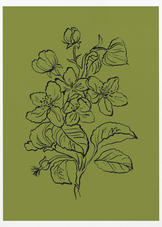 Botanical Elegance | Poster