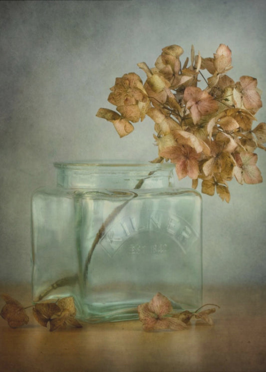 Hortensia | Lærredsbilleder