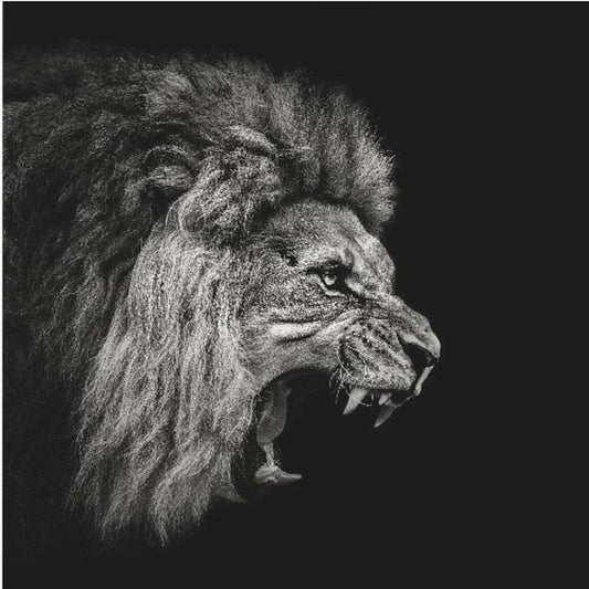 Lion rugissant #2 | Tableaux sur Toile